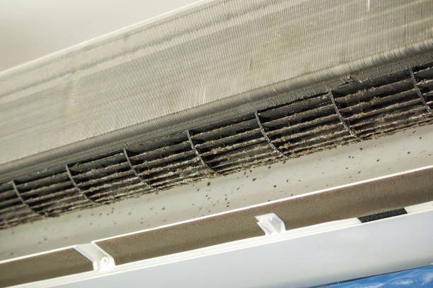Best Air Duct Cleaning Near Me  in Eatons Neck, NY
